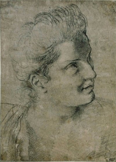 Frauenkopf von Annibale Carracci